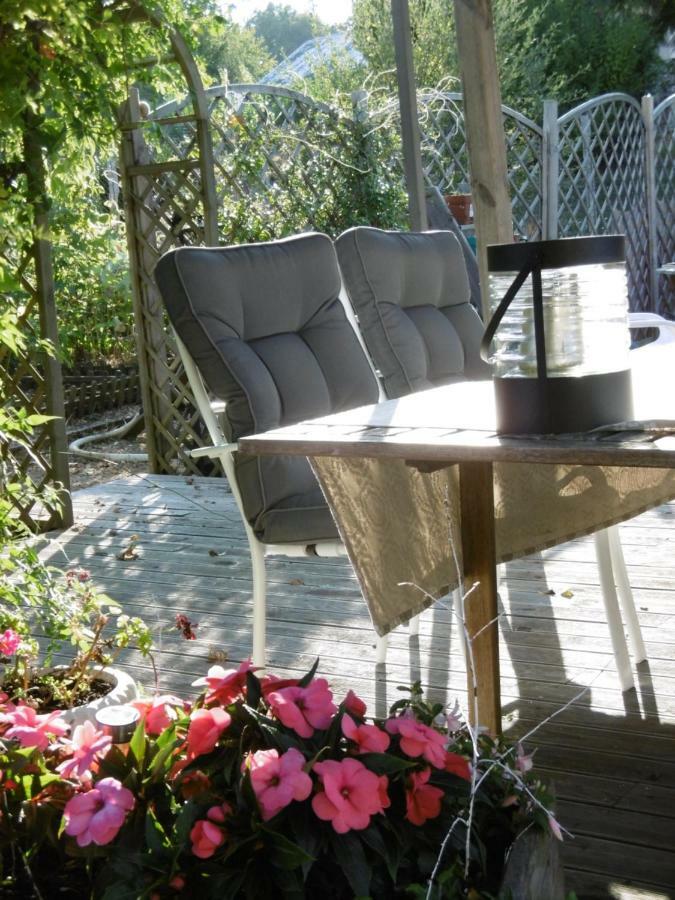 Le Chat Qui Peche B&B Châteauneuf-la-Forêt Eksteriør bilde