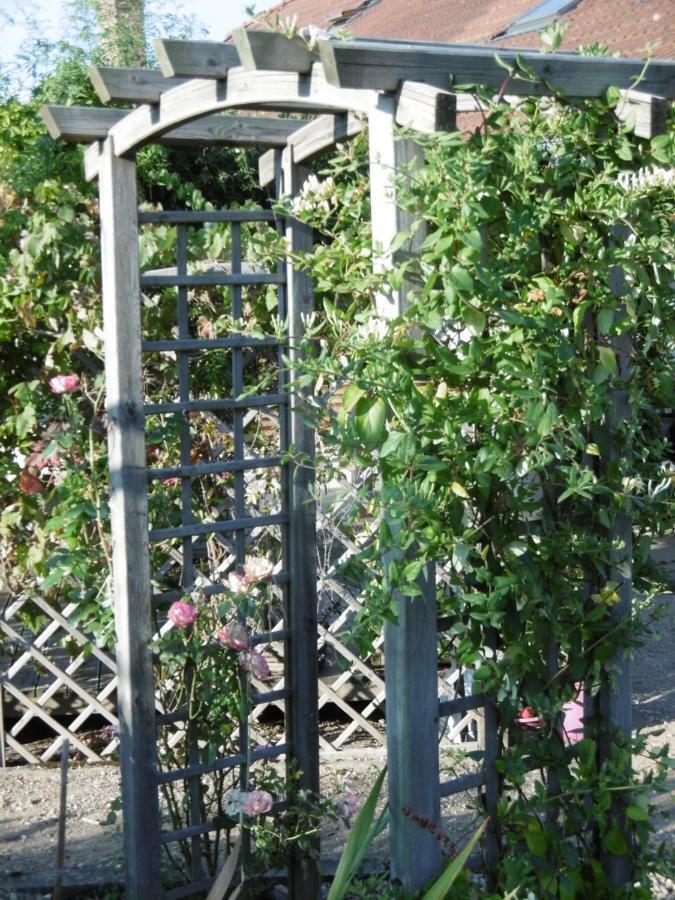 Le Chat Qui Peche B&B Châteauneuf-la-Forêt Eksteriør bilde